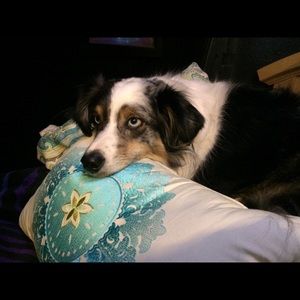 Purses! Make offers must go